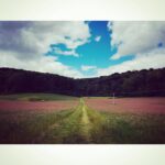 Perdita Weeks Instagram - Just pink enough