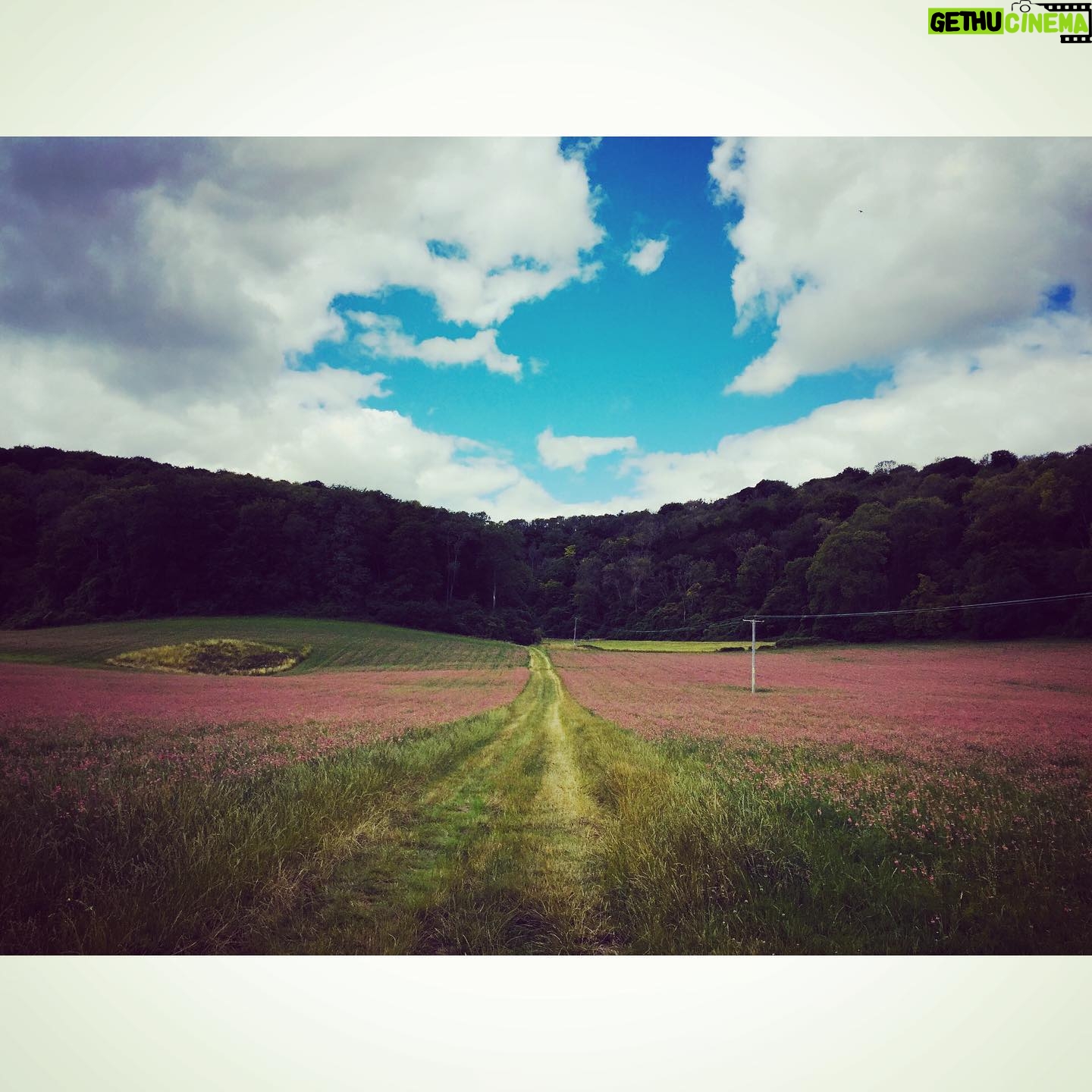 Perdita Weeks Instagram - Just pink enough
