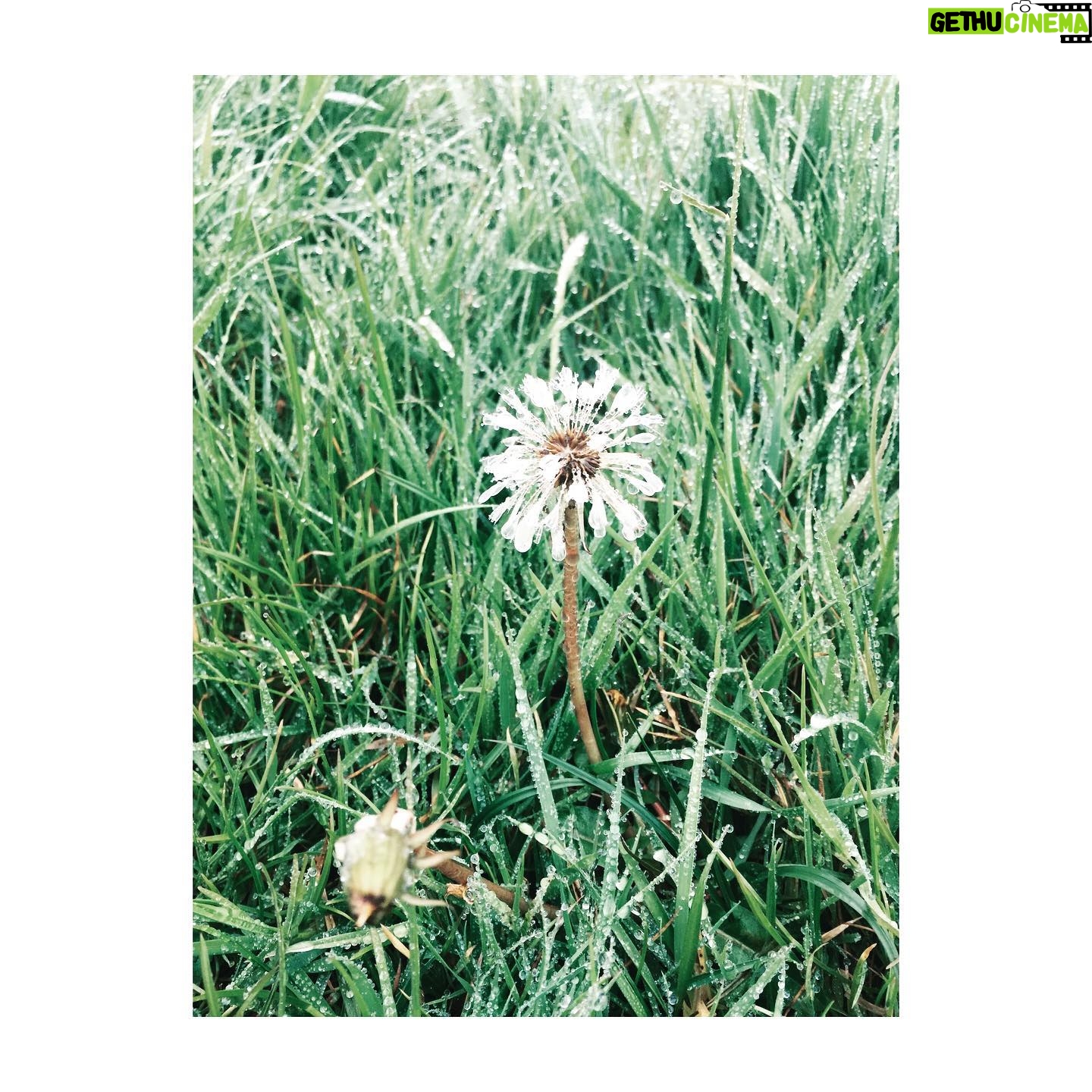 Perdita Weeks Instagram – Tiny bejewelled green bits Gethu Cinema