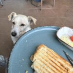 Perihan Savaş Instagram – Ben ona tost o bana kahve ısmarladı🤪😻🫶🏻”satın alma sahiplen”
