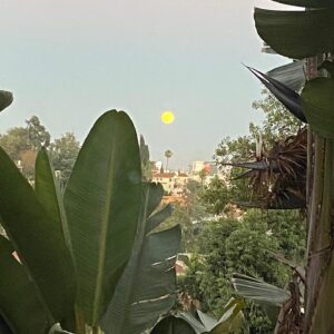 Perrey Reeves Instagram - The moon rising is better than any firework display tonight 🌕!
