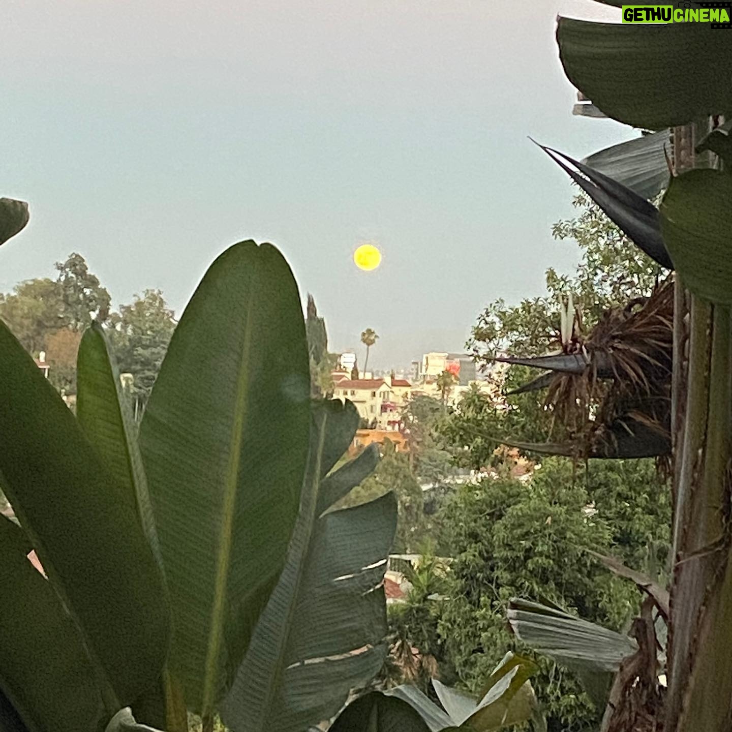 Perrey Reeves - 477 Likes - The moon rising is better than any firework display tonight 🌕!