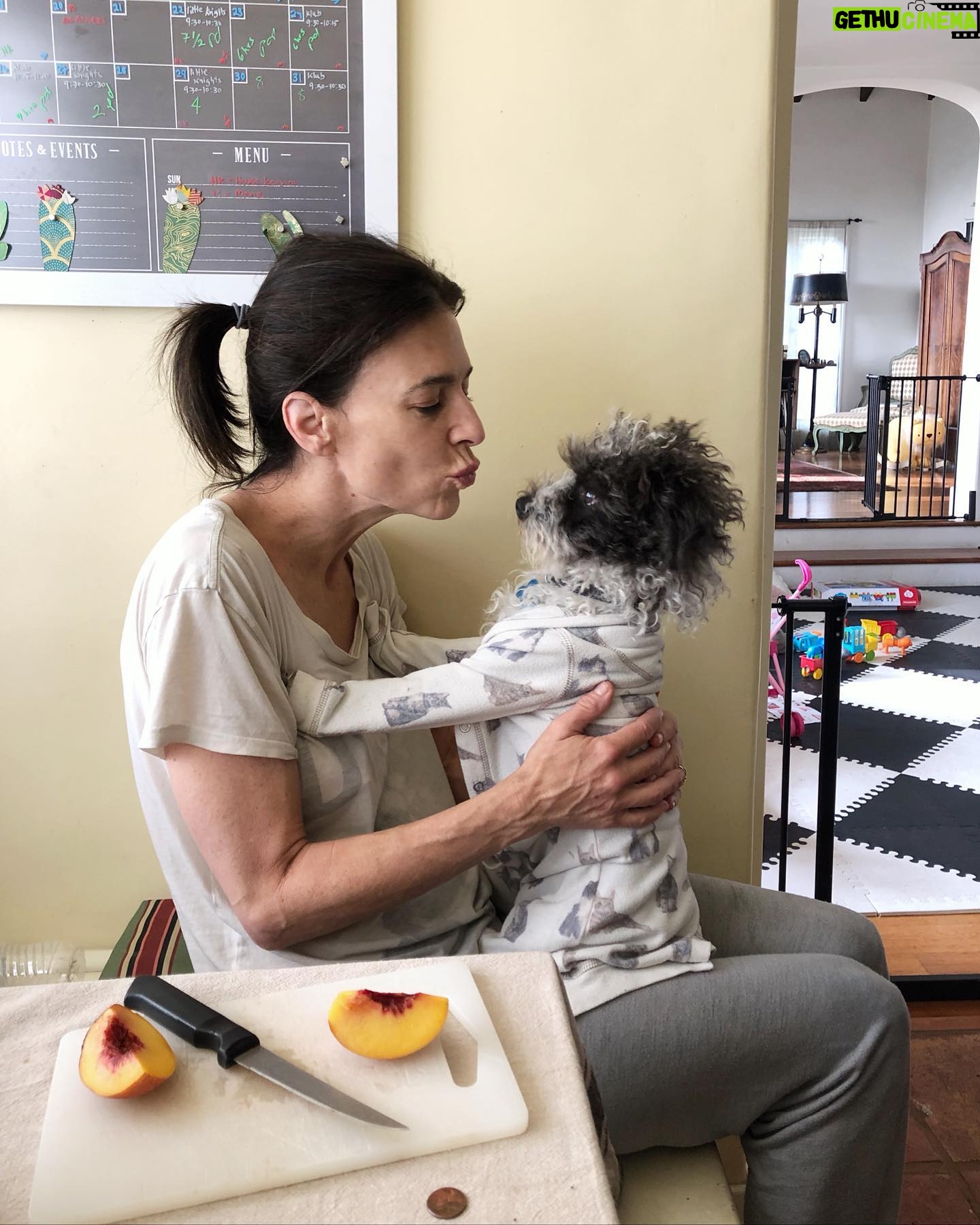 Perrey Reeves - 1.3K Likes - When your mom makes you wear the cat pajamas...