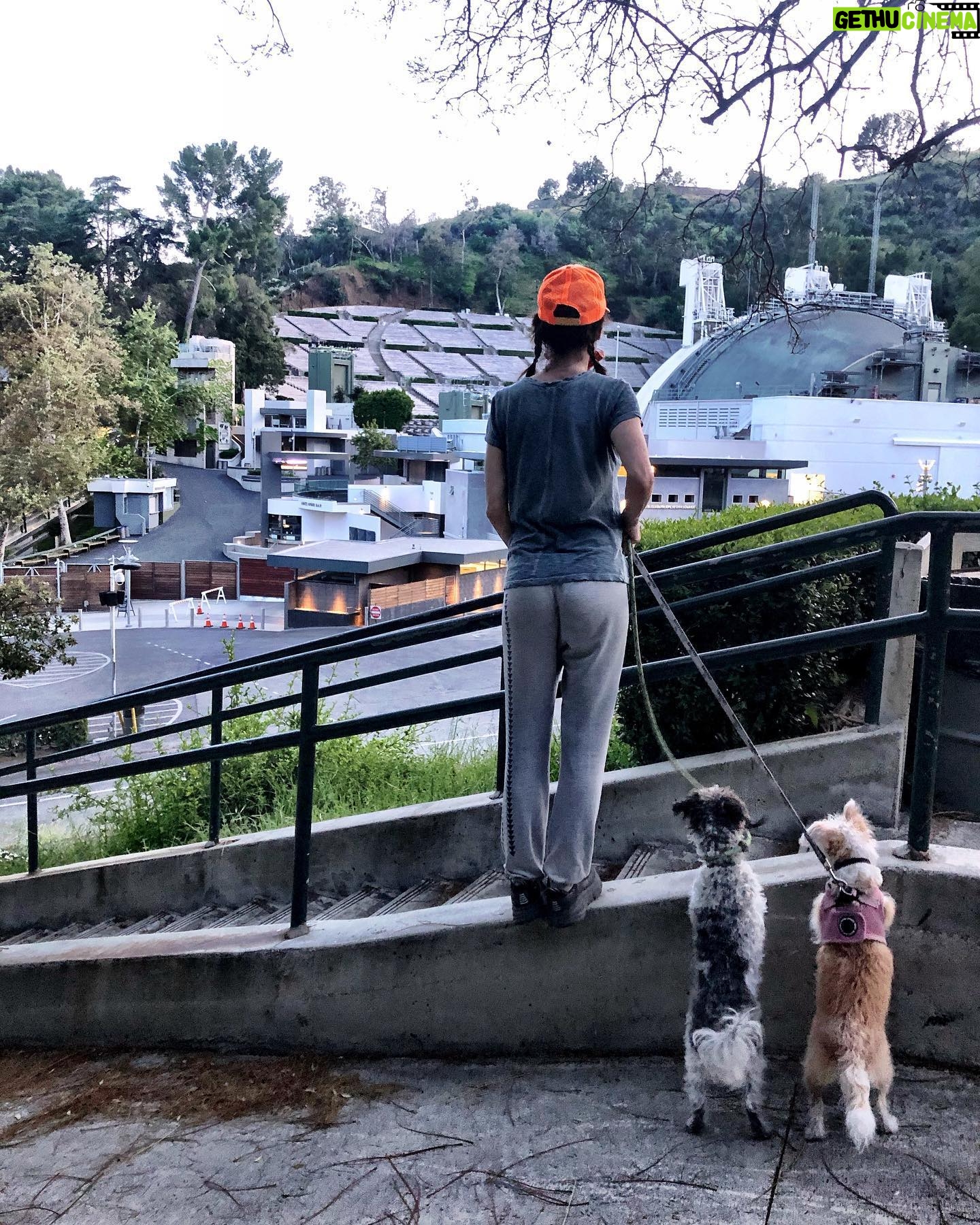 Perrey Reeves - 745 Likes - Oh #hollywoodbowl we will miss you this summer!