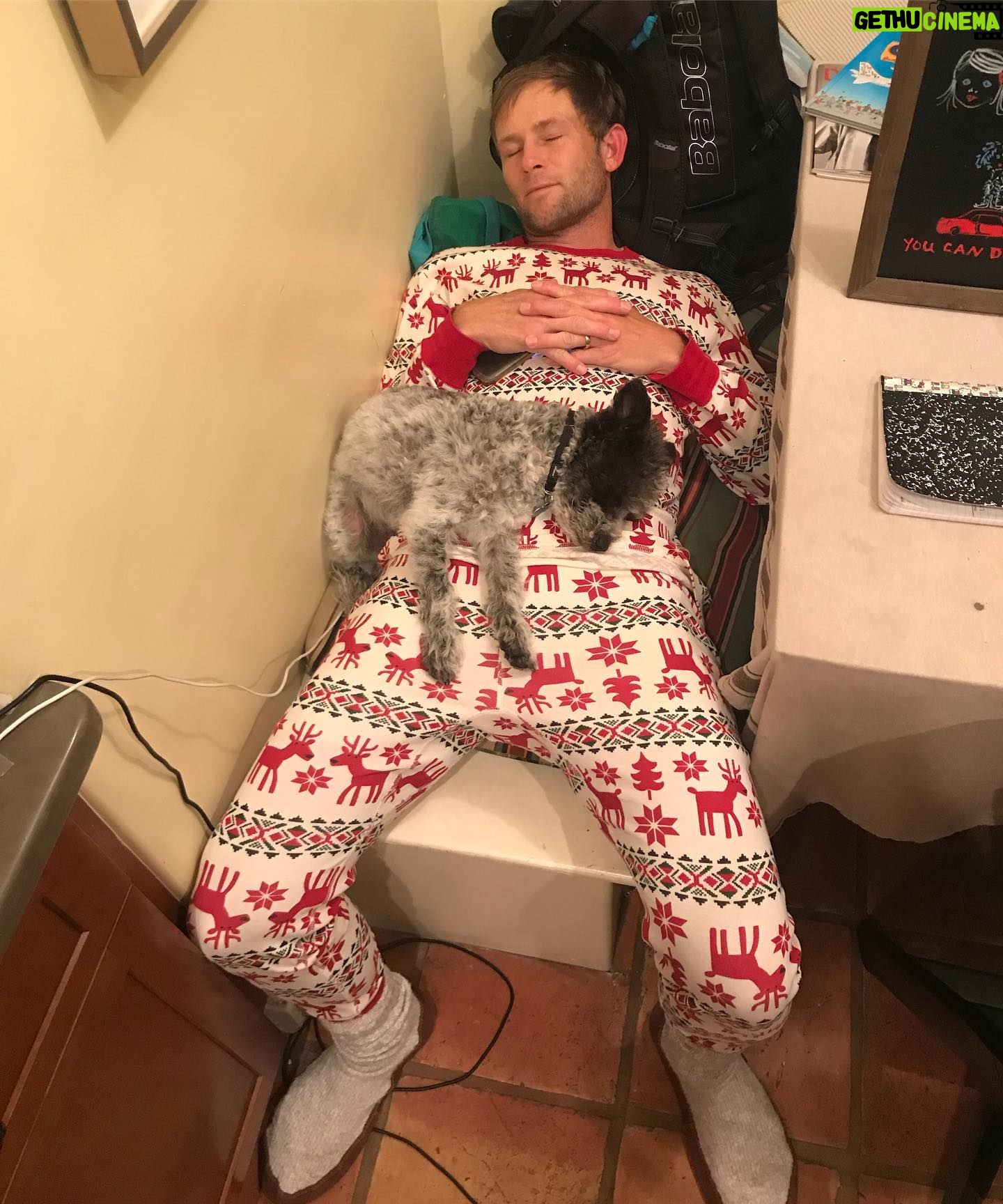 Perrey Reeves - 545 Likes - I guess I better wake him up for dinner...