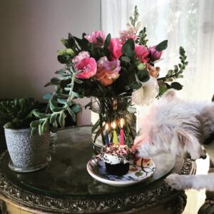 Perrey Reeves Instagram - Couldn’t fit all the candles on my cup cake.