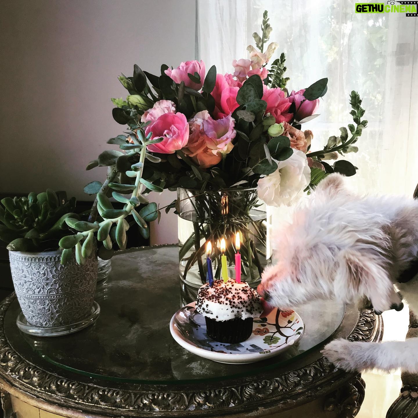Perrey Reeves - 335 Likes - Couldn’t fit all the candles on my cup cake.