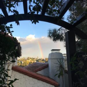 Perrey Reeves Instagram - What a wonderful day!!!!