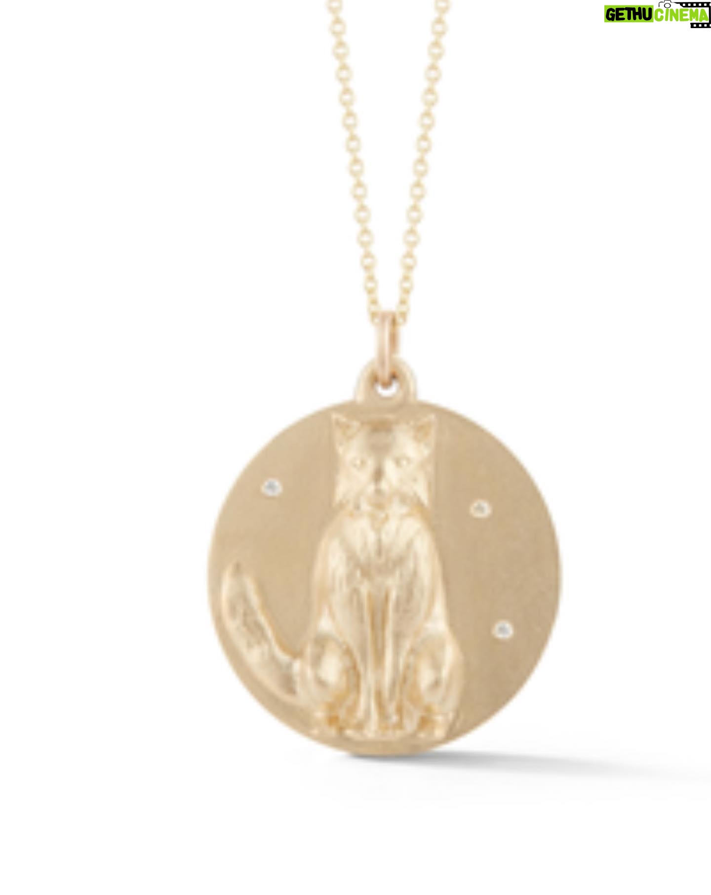Perrey Reeves - 587 Likes - When you marry a person who’s last name is Fox, you become obsessed with foxes!! @thehopibag @staranimalsundays I love my fox necklace!