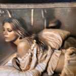 Peta Wilson