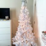 Peyton Evans Instagram – Oh Christmas Tree 🎄 
I don’t want ornaments. I like it just plain 💗