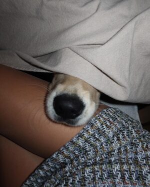 Pézie Beaudin Instagram - Fwiends, can I sit withzzz u 🐶
