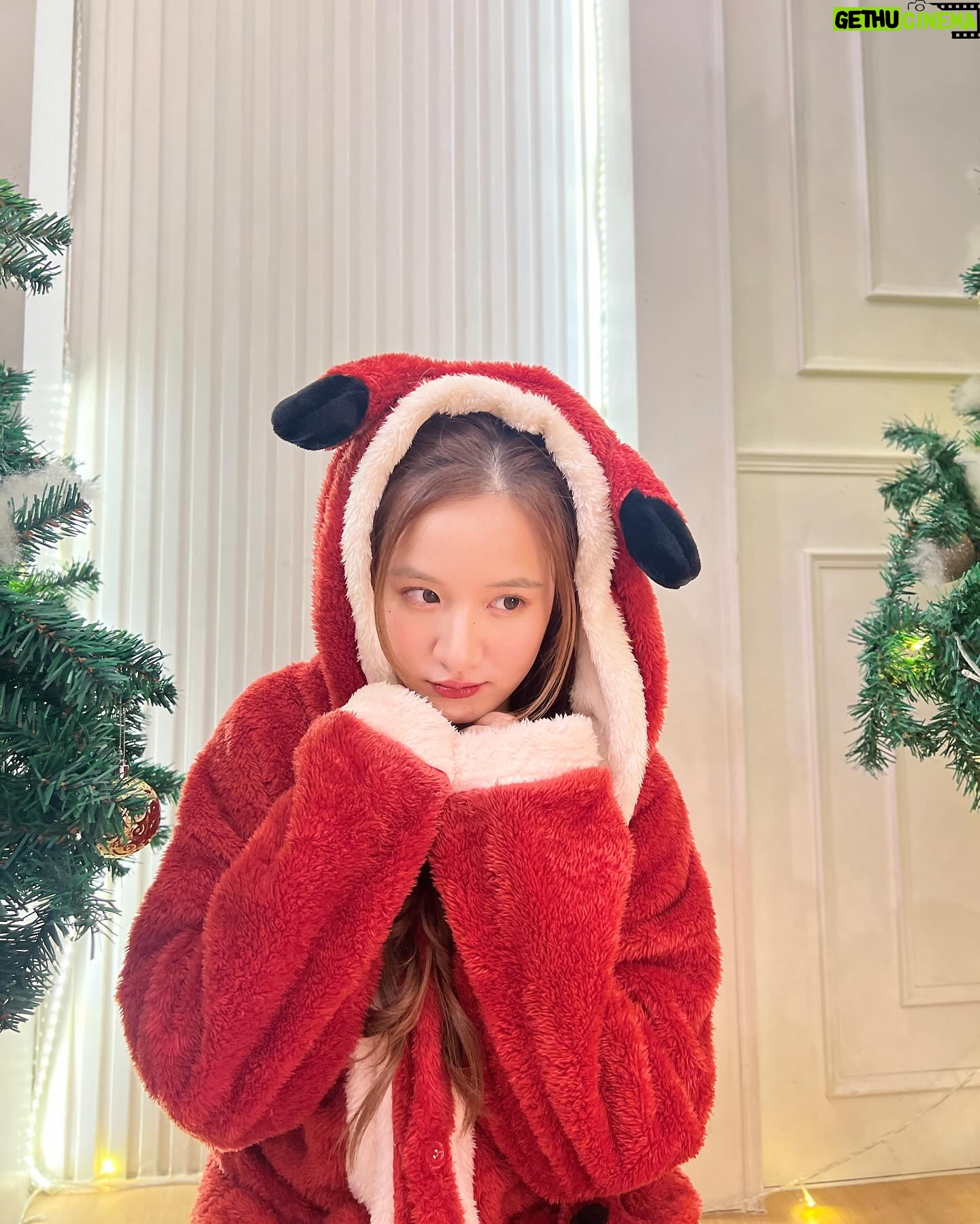 Phatchatorn Thanawat Instagram - 🎄Merry Christmas!🦊