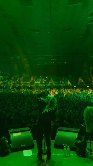 Phem Instagram - show 11 on the Avril Lavigne tour ! —> VIENNA , AUSTRIA RECAP!!!! drop a 🇦🇹 if you were there last night :) wut a magical evening 💚 

—>>>> pants by @lefthandla , shirt by @karlkani