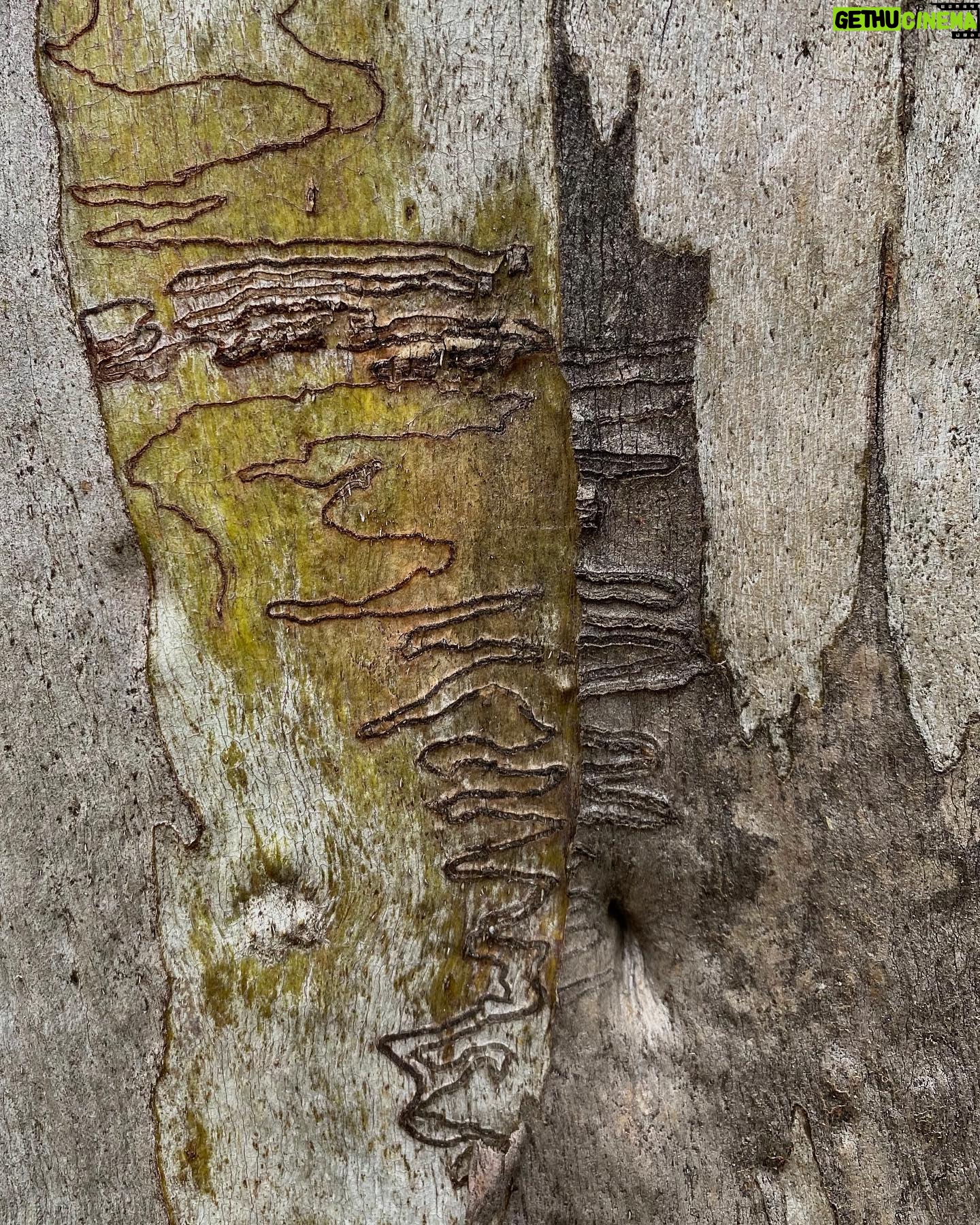 Philippa Northeast Instagram - Nature’s Belly Button
