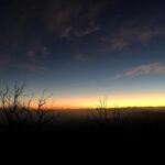 Philippa Northeast Instagram - Like all of you, I am devastated about the Australian bushfires and the unfathomable amount of destruction they have caused. I am gutted by our governments response to the crisis and it’s continual lack of leadership on climate change. However, I am so heartened by our community, the heroes that have faced the blazes and countless others that have donated time, resources and money. Those that are using social media for action and are vocalising to the federal government that the current climate policies do not reflect our beliefs, our community. As I sit glued to the radio as the brave @nswrfs put out spot fires in the area I call home, the reality of how much more there is to do hits hard. Let’s continue the tremendous work. Let’s keep funding First Nation’s land management practises, keep pushing to change the constitution, keep examining our cultures materialistic and consumeristic imbalance, keep upsetting the domineering power heirachy, keep actively listening to honest reporting, keep continuing to educate ourselves and most importantly, keep healing. Below is a lift of organisations that need your financial support to continue the incredible work they’re doing. And if you’ve donated what you can, you can support your local area by volunteering your time. In my own area, I’ve become a member of @laokosnowywildliferescue but there are countless other organisations that need help from administration and food preparation to animal care and transportation. @cfavic @nswrfs #firstnationsfirerelieffund @redcrossau @wireswildliferescue @portmacquariekoalahospital