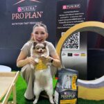 Pimonwan Hoonthongkam Instagram - #frostyandcaviartheadpoted 🦮🐕‍🦺 #petexpo2024