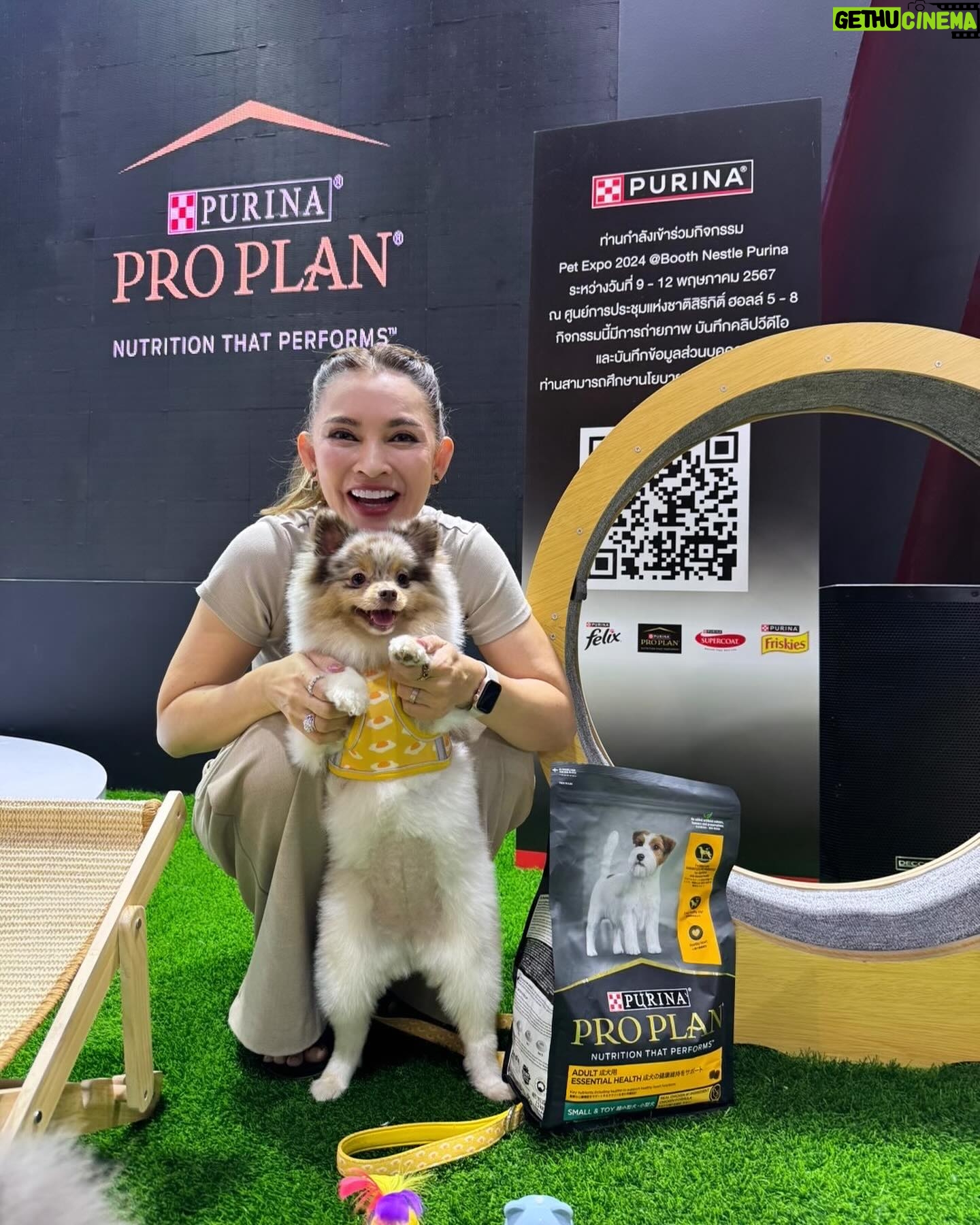 Pimonwan Hoonthongkam Instagram - #frostyandcaviartheadpoted 🦮🐕🦺 #petexpo2024