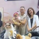 Pimonwan Hoonthongkam Instagram - #petexpo2024 ฤกษ์ดี แม่ถอยรถใหม่ให้แบบงงๆ เด็กๆอยู่ด้วยกันได้ครบ 4 ตัว น้ำหนักเบา ขับดี ขับนุ่ม แม่คนเดียวก็เอาอยู่ #frostyandcaviartheadpoted