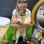 Pimonwan Hoonthongkam Instagram - #frostyandcaviartheadpoted 🦮🐕‍🦺 #petexpo2024