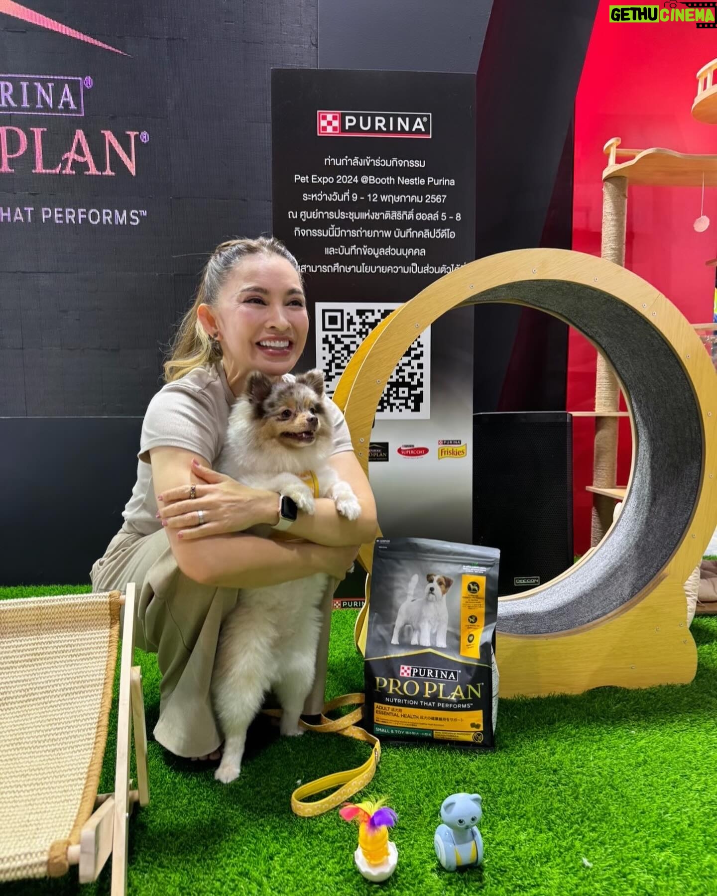 Pimonwan Hoonthongkam Instagram - #frostyandcaviartheadpoted 🦮🐕🦺 #petexpo2024