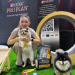 Pimonwan Hoonthongkam Instagram - #frostyandcaviartheadpoted 🦮🐕‍🦺 #petexpo2024