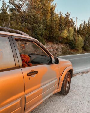 Pinelopi Plaka Instagram - Ελα παιδιά σιγά σιγά σα να βλέπω το τέλος του καλοκαιριού να πλησιάζει.Επίσημα 23 Σεπτέμβρη  το χαιρετάμε  και να τι θα μου λείψει περισσότερο. Αυτή η ανεμελιά, τα καρπούζια στην παραλία, οι μέλισσες 🐝🐝 που κάνουν πάρτυ disco γύρω σου, το σκυλί μου να τρέχει χαρούμενο και ελεύθερο σε σημείο να παθαίνω 7 εγκεφαλικά από το φόβο μην το πάρει το κύμα(είναι και μια στάλα), το να μη σε νοιάζει αν έχεις βάλει μπενζινά, το να μένεις από μπενζίνα, το να μη βρίσκεις μπενζιναδικο αλλά να μη σε νοιαζει κιόλας..γιατί μόλις σου χαρίστηκε το πιο όμορφο ηλιοβασίλεμα του κόσμου σου. Ετούτα και αλλά πολλά θα περιμένω. Ξανά. 🕊️ 📸
 ___________________________________________________

#summer #summerstories #islandlife #vacation #makingmemories #beachlife #poodle #calmness #relaxing #memories