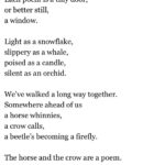 Piper Perabo Instagram - David Young’s poem Basho in homage to the great haiku maker Matsuo Basho (1644–1694), whose consciousness, Young has written, “affiliates itself with crickets, islands, monkeys, snowfalls, moonscapes, flowers, trees, and ceremonies.” Courtesy of @aaknopf #nationalpoetrymonth