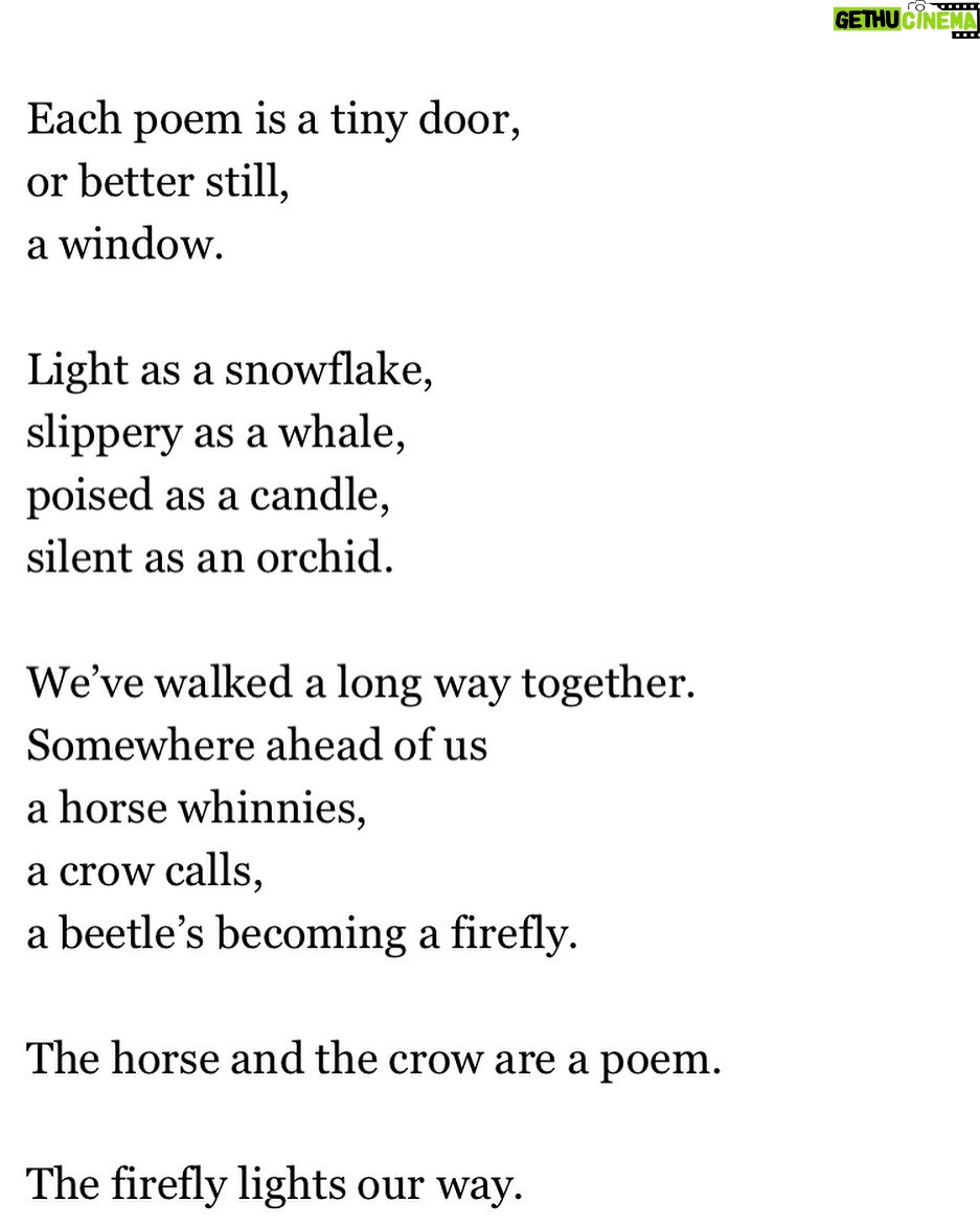 Piper Perabo Instagram - David Young’s poem Basho in homage to the great haiku maker Matsuo Basho (1644–1694), whose consciousness, Young has written, “affiliates itself with crickets, islands, monkeys, snowfalls, moonscapes, flowers, trees, and ceremonies.” Courtesy of @aaknopf #nationalpoetrymonth