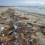 Piper Perabo Instagram - As a result of Hurricane Hilary on the West Coast, heavy rains flushed out an immense amount of pollution from storm drain systems right into our waterways. We encourage you to sign up and volunteer for a beach cleanup with your local chapter. Not only can you help remove trash from our beaches, but you can also help pass plastic reduction laws and policies that prevent pollution in the first place. Reposted from @surfrider but I will put the volunteer link in my bio so join me and sign up. Hat tip to the awesome @ericbalfour who’s feed I saw this on 🌊♥️ Pictured: San Gabriel River Jetty captured this morning by @surfridernorthoc