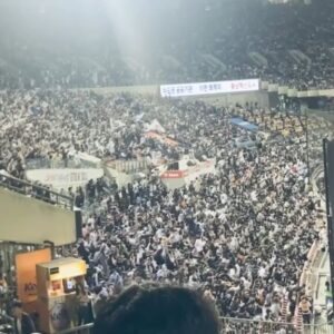 Piper Perabo Instagram - Korean baseball is wildly fun. fans sing like this just for an at bat. It’s way less expensive than a pro game in the States so whole families come, many different kinds of fried chicken and so many songs and cheers and sparkly steamer canons. Obviously I am now a @doosanbears.1982 fan. Go Bears! 🇰🇷⚾️🐻 Who’s a team you love? Anywhere in the world. Send me a pic of you cheering for them! #Korea #koreanbaseball #doosanbears #Seoul #southkorea🇰🇷 Oh and thank you Louis for the pic 📸