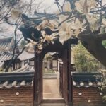 Piper Perabo Instagram - Spring in #Seoul, Bukchon Hanok Village. @seoulmuseumofcraftart @kukjegallery