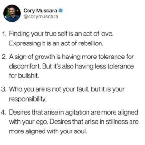 Piper Perabo Instagram - Repost from @questlove
•
Still a beginner in meditation. Some of these points resonate strong w me.

#Repost @message.from.beyond
・・・

✍️Via: @corymuscara
Via: my friend @seulgiburns via my friend @questlove who’s name says it all, thanks for this ✨