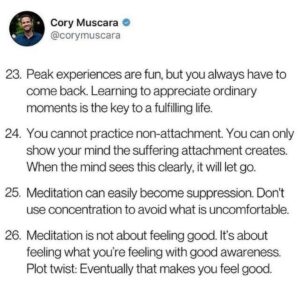 Piper Perabo Instagram - Repost from @questlove
•
Still a beginner in meditation. Some of these points resonate strong w me.

#Repost @message.from.beyond
・・・

✍️Via: @corymuscara
Via: my friend @seulgiburns via my friend @questlove who’s name says it all, thanks for this ✨