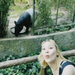 Pitchaporn Kirdpan Instagram - 🐵🙈🙉🙊