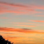 Poh Ling Yeow Instagram – Please enjoy tonight’s Adelaide sunset to the buttery tones of Grace Jones 💥
