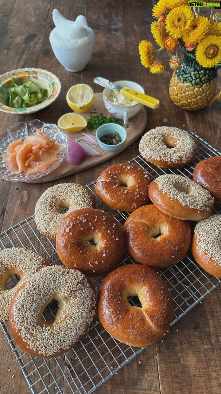 Poh Ling Yeow - 21.6K Likes - 🥯 I’ve been craving homemade bagels for weeks! The recipe will tolerate up to 1 cup of sumthin’ sumthin’ - blueberries, choc chips etc. Also, in case u might ask - Skeleton & goldfish bowl is thrown & glazed by @graemerichardson67 , painted by me. Jamface tea towel designed by @sweetpetite77 but no longer available - sorry 😢.
2 tsp (7g) yeast
2 Tbs honey
2/3 cup tepid milk
3 cups plain bread flour (normal plain flour works but texture won’t be as chewy)
1 cup plain wholemeal flour
1 tsp salt
1 - 1 1/3 cup tepid water
1 egg, whisked
1/3 cup sesame or poppy seeds or sea salt
Mash yeast & honey together. Add milk and stir to dissolve. Cover & rest for 20 mins or until surface is foamy.
Combine the flours, salt, yeast honey milk mix & only 2/3 of the water. Knead into a pliable dough adding the remaining water if needed. The dough should knead easily & should not stick to the bench surface even without the aid of flour. Cover with damp tea towel to rise until double its original size in a warm draught free spot.
Punch down dough and cut into 10 even pieces. Roll each piece into a 2cm wide sausage. Squash down one tip, bring the other tip to sit on the flattened tip and form a ring. Pinch around it to secure (see reel if unsure). Flip it over and rest on a 10x10cm square of baking paper. Repeat until all the rings are formed. Cover with a damp tea towel and allow to double in size again in a warm, draught free spot.
Preheat oven to 170*C FF. Boil the bagels in plenty of water (about 30 secs each side). Rest on a clean tea towel to absorb excess water. Transfer to baking trays lined with baking paper leaving a 2cm space between the bagels. Baste generously with the egg. Sprinkle or dip in seed of choice. Bake for about 20 mins or until golden and fill with whatever your heart desires! Enjoy and oh, these freeze well in an airtight container or snap lock bag ♥️
PS Quick cucumber pickle is simply shaved crunchy part of 1 continental cuke, 1 tsp salt, 2 Tbs sugar, splash of white wine or cider vinegar. Taste then feel free to play with the balance for a sweeter, saltier or more sharp finish.