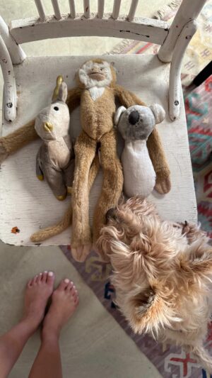 Poh Ling Yeow Instagram - Mending things is good for the soul 😌♥️ 

#rhinoandtim #scottie #scottiesofinstagram #wheatenscottie #scottishterrier #scottishterriersofinstagram #dogsofinstagram