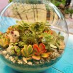 Poh Ling Yeow Instagram – Quick lil glow up for my terrarium before heading to @_jamface_  HQ . Creating little worlds was and still is such a constant source of wonder for me. All the shells in the terrarium were collected by mini me from age 9. Hope you find time for a small gesture of creativity today🌱😋🥧🍰

#garden #gardener