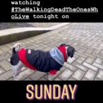 Pollyanna McIntosh Instagram -
