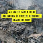 Pollyanna McIntosh Instagram - @amnestyireland Thank you for your work. #CeasefireNow #AllEyesOnRafah #StopTheGenocide