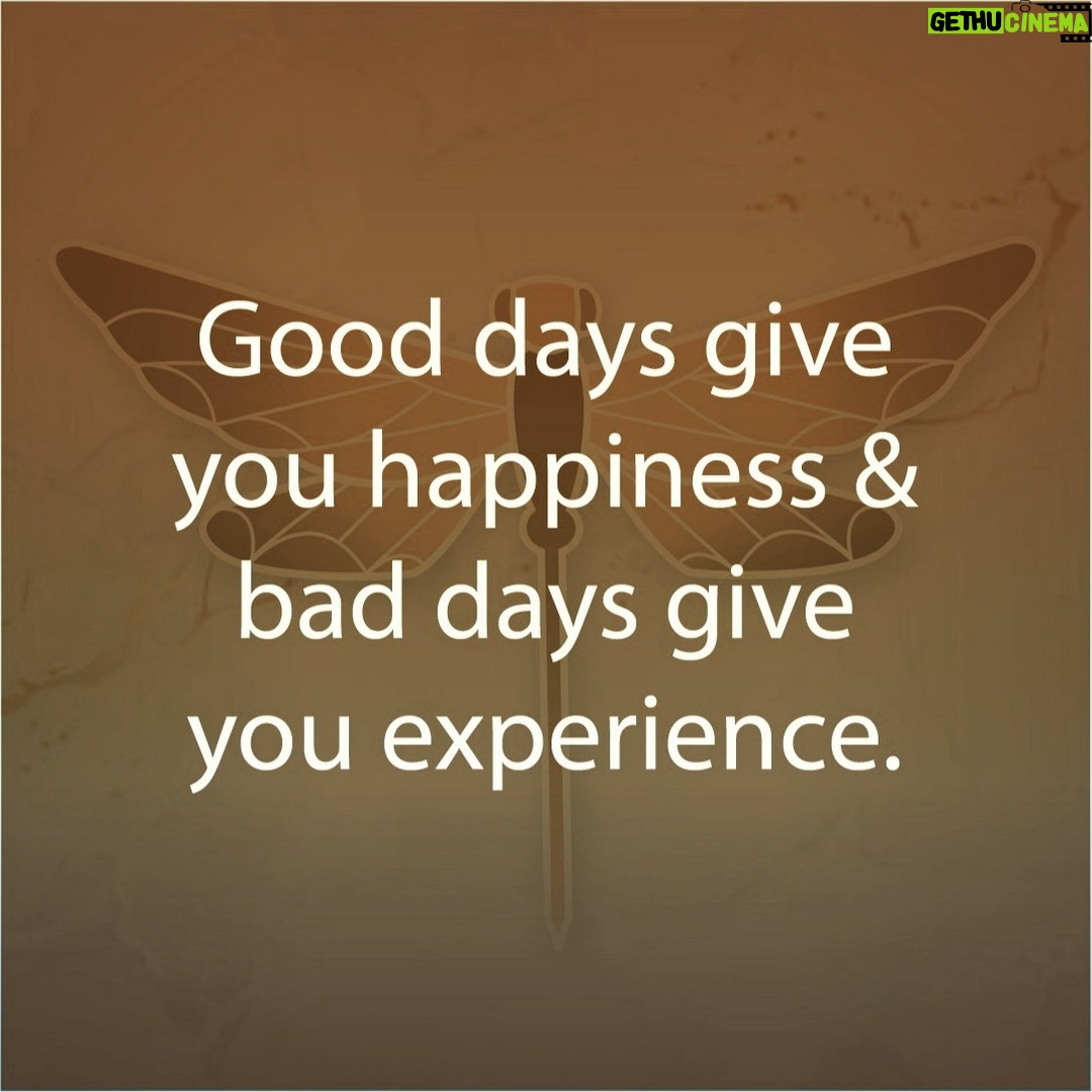 Pooja Bedi Instagram - Can you see positive in a negative situation? Everything we experience in life is a learning curve. We learn what we like, what we dislike, what to do and also what not to do. And this is also subject to continuous change. Who disliked baingan, palak or karela when they were kids... and started to love it as adults? Happiness is a state of mind. Shit happens to all of us, its how we respond that defines us. Don't dread the bad days, let these days teach you resilience, patience, clarity.... and be a good test of how positivity can help smooth the way forward to better days. Life is so exciting in all it's avatars. When you look back at your collage of experiences you will thank yourself for battles fought with integrity, for your growth despite the pain of change, and for handling adversities with a smile & the courage to have benefited from it's learnings. it's okay to make mistakes rather than live with a lifelong regret of not having tried. @happysoullifestyle