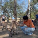 Pooja Kannan Instagram – Met my spirit animal today 🐨
