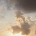 Pooja Kannan Instagram – 🌤
.
.
.
.
.
.
.
.
.
.
.
.
.
#explorepage✨ #createcommune #reelsindia #filmpallete #agameoftones #dogstagram #doggies
