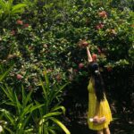Pooja Kannan Instagram - Hot day pretty place 🌞