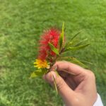 Pooja Kannan Instagram – Right from the journey to the company, making glow in the dark japa Malas to spotting a snake and gazing at the stars & hearing the crickets and birds converse… this trip was so nurturing… I didn’t know that I needed it this much ❤️