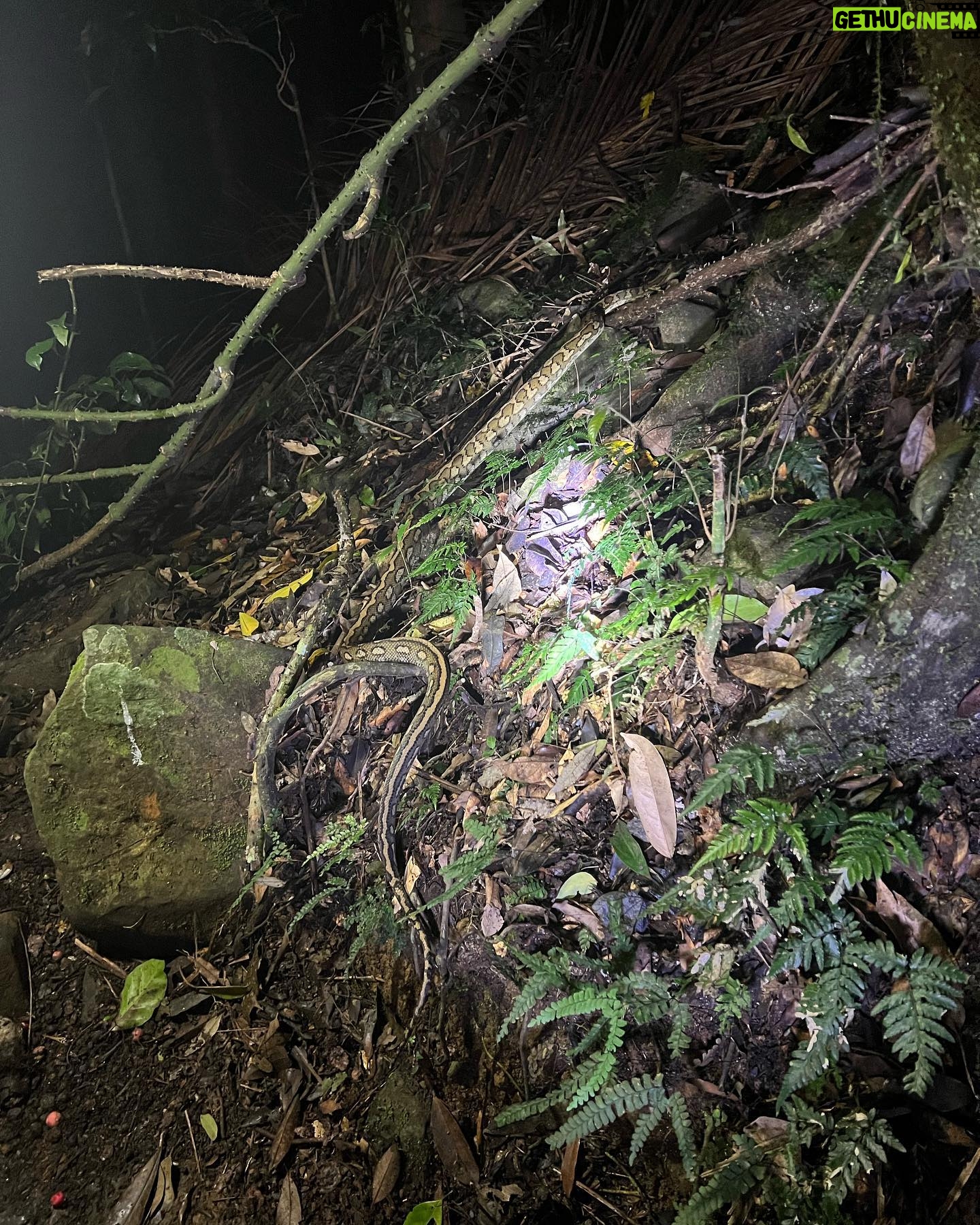 Pooja Kannan Instagram - Right from the journey to the company, making glow in the dark japa Malas to spotting a snake and gazing at the stars & hearing the crickets and birds converse… this trip was so nurturing… I didn’t know that I needed it this much ❤️