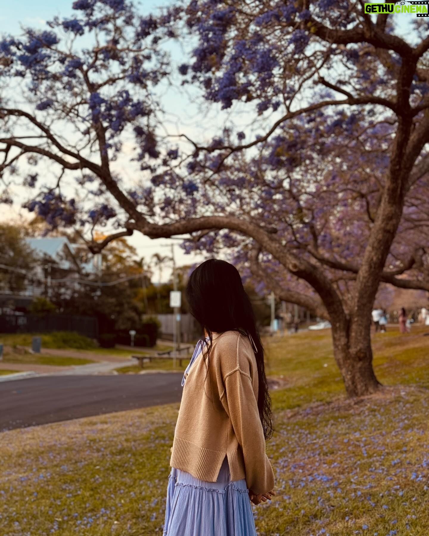 Pooja Kannan Instagram - “Where flowers bloom, so does hope." –Lady Bird Johnson 💜