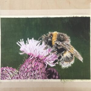 Poppy Lee Friar Instagram - Bumblebee and Thistle. For sale in my Etsy shop ArtworkbyPoppyLF 👩🏼‍🎨 #watercolour #bumblebee #thistle #watercolor #waterblog #etsyshop #artworkbypoppylf #cartel_watercolorists #watercolor_daily #watercolor_gallery #watercolorillustration #artistsoninstagram