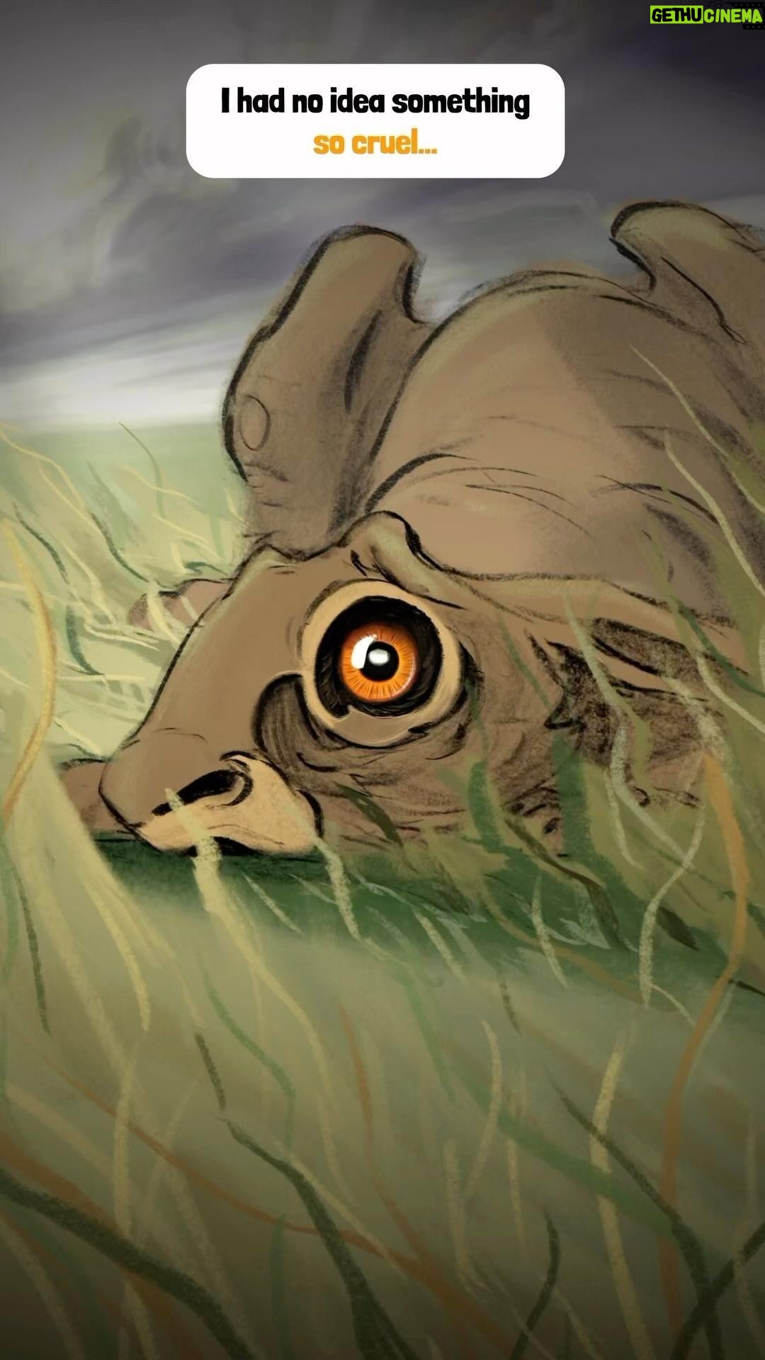 Poppy Lee Friar - 6.4K Likes - Please back @protectthewild__ petition for a proper ban on all hunting with dogs. Together we can end hare coursing for good.
#properban #protectthewild #hares #wildlife